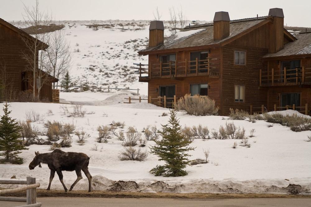 Spring Creek Ranch Hotel Jackson Buitenkant foto
